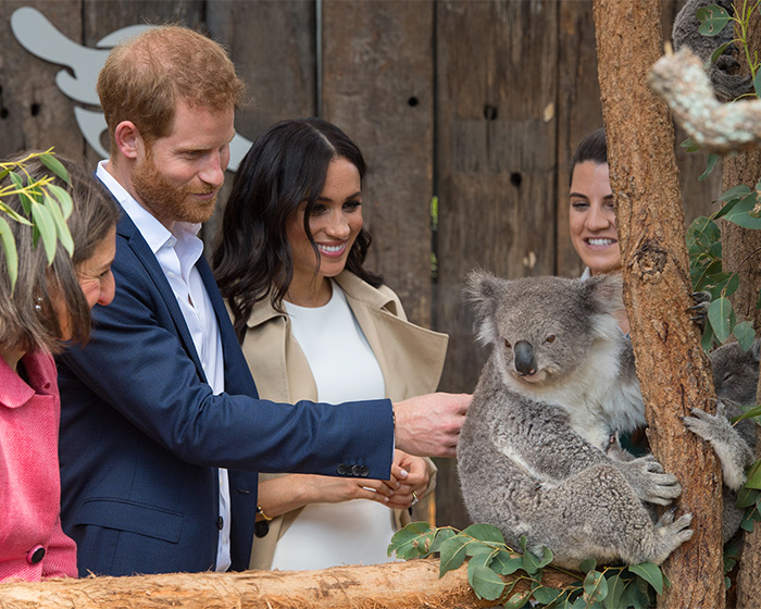 Petição contra a próxima viagem do príncipe Harry e Meghan Markle reúne mais de 38 mil assinaturas