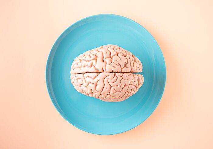 Realistic brain model placed on a blue plate symbolizing medical staff preparing for horrible things in the ER.