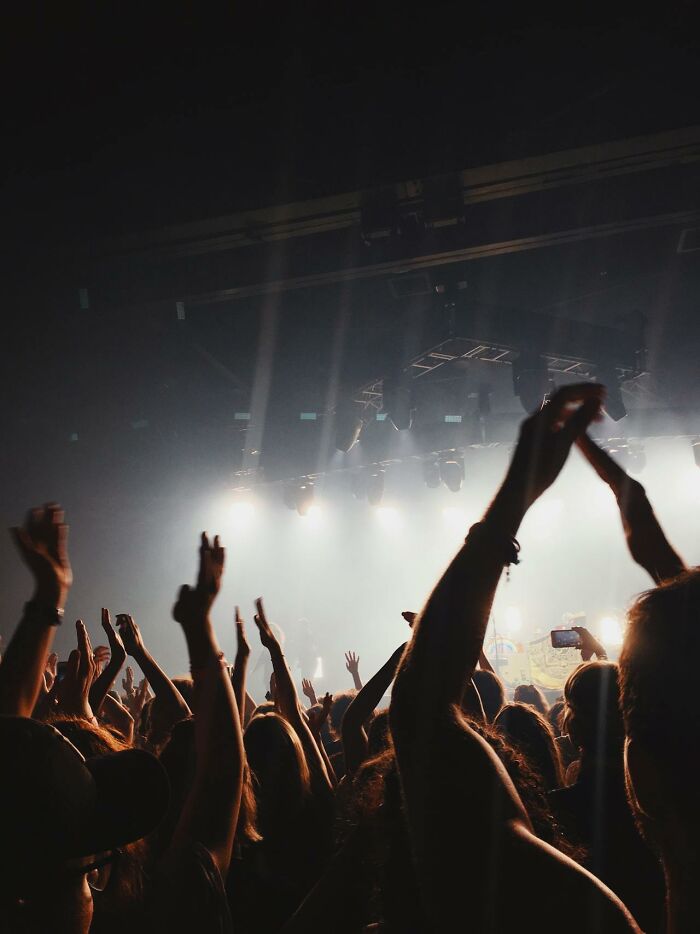 Crowd at a live event raising hands and clapping under bright stage lights, capturing bizarre true stories atmosphere.