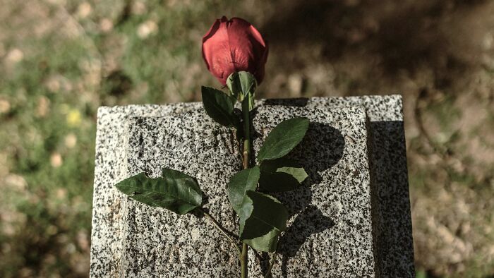 Red rose placed on a granite gravestone symbolizing famous last words of historical and fictional figures.