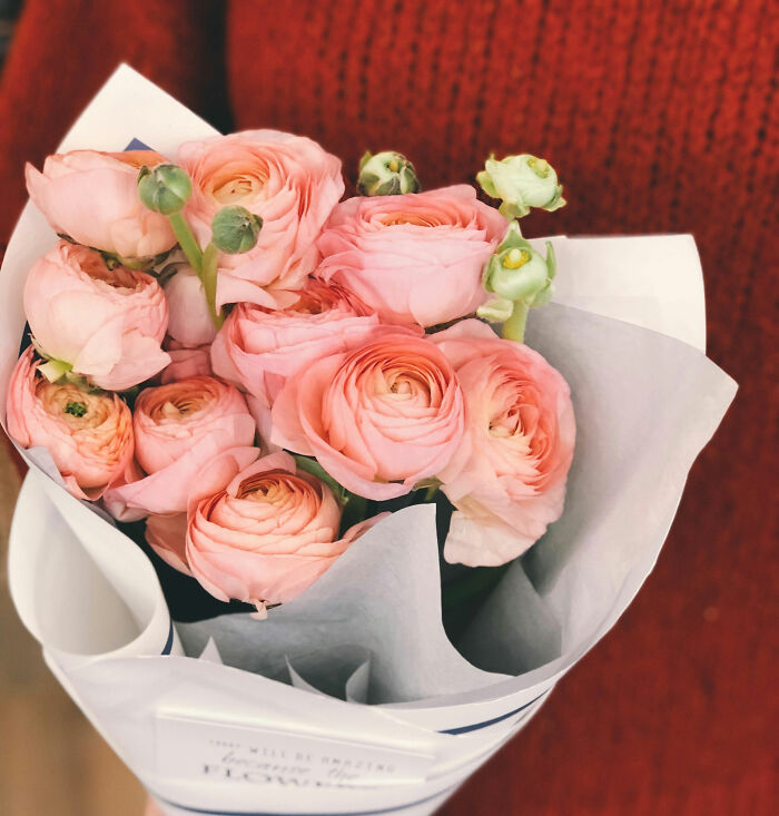 Bouquet of soft pink flowers wrapped in white paper held against a red textured background, symbolizing moments of regret and silence.