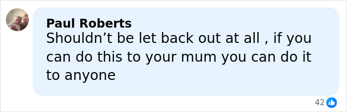 Comment by Paul Roberts expressing anger over an open misogynist's violent crime involving his mother.