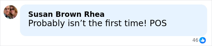 Facebook comment by user Susan Brown Rhea reacting to a mom of 5-year-old arrested for crimes at a festival crowd.