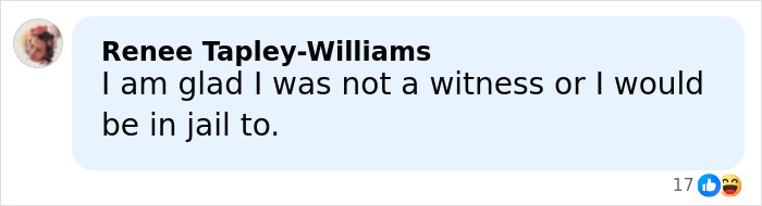 Screenshot of a social media comment about a mom of 5-year-old arrested for crimes at a festival crowd.