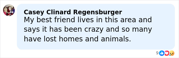 Comment mentioning mass evacuations and loss of homes and animals amid historic floods in Hawaii.
