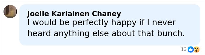 Comment by Joelle Kariainen Chaney expressing frustration about a topic discussed by a group in a social media post.