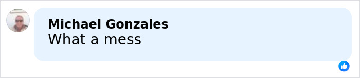 Comment by Michael Gonzales saying What a mess in a social media post discussion.