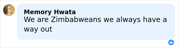 Comment from Memory Hwata saying Zimbabweans always have a way out, related to Lion King composer lawsuit over viral joke.
