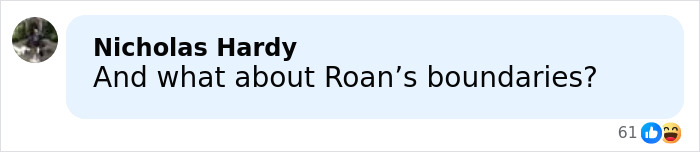 Screenshot of a social media comment questioning Roan&rsquo;s boundaries in the Jude Law bodyguard incident discussion.