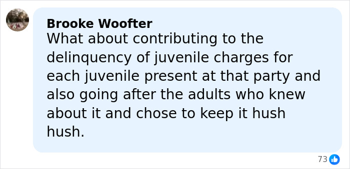 Comment on pool party incident involving former Louisiana mayor, discussing juvenile delinquency and adult accountability.