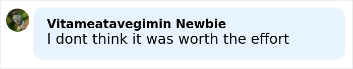 Comment text on social media post discussing Gwyneth Paltrow&rsquo;s risky Oscars dress and malfunction details.