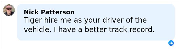 Comment from Nick Patterson offering to drive, referencing Tiger Woods' car crashes and vehicle safety in Florida.