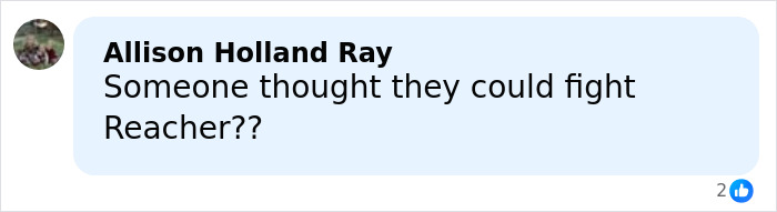 Comment from Allison Holland Ray questioning if someone could fight Reacher, related to Alan Ritchson wild fight with neighbor topic.