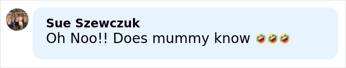 Comment on social media post reacting with laughing emojis to Robert Irwin's rumored new girlfriend and mummy disapproval rumors.