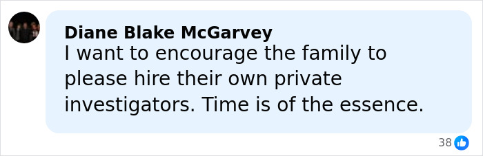 Comment by Diane Blake McGarvey urging family to hire private investigators amid suspicious footage in student vanishing case.