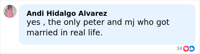 Comment mentioning Zendaya and Tom Holland as the only Peter and MJ couple married in real life.