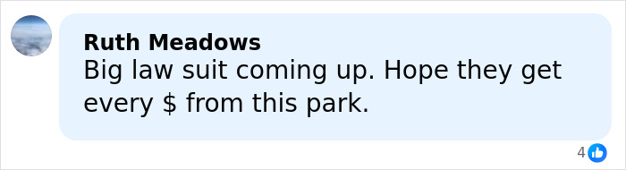 User comment on social media about a horrifying video showing a man fatally pushing his mom, age 28, down a slide.