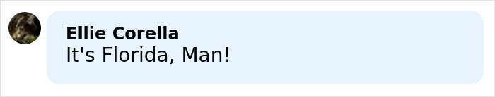 Comment by Ellie Corella saying Its Florida Man in a light blue speech bubble against a white background related to Florida woman mugshot viral arrest Airbnb acts Comment by Ellie Corella saying Its Florida Man in a light blue speech bubble against a white background related to Florida woman mugshot viral arrest Airbnb acts