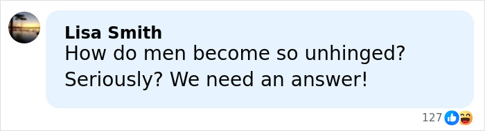 Comment by Lisa Smith questioning how men become unhinged, highlighting public concern over nurse's violent demise case.