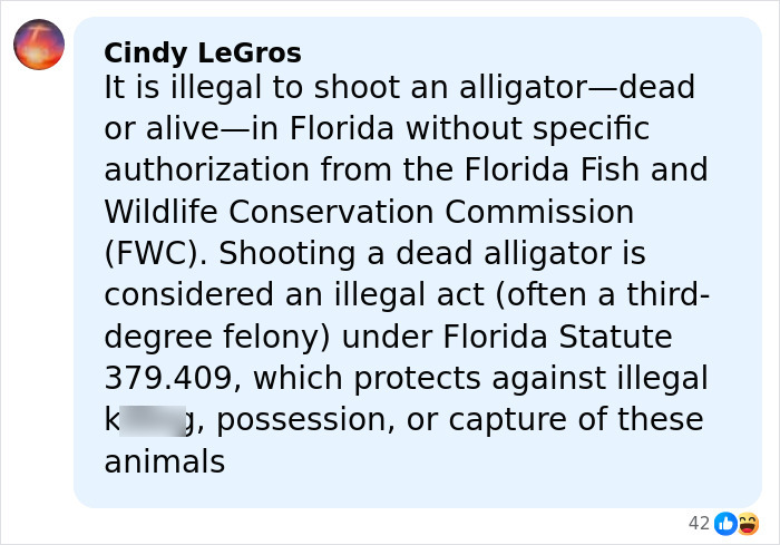Comment about Florida law on illegal alligator shooting shared in a social media post discussing wildlife protection.