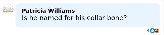 Social media comment discussing the looksmaxxing influencer Clavicular in relation to his name and collar bone.