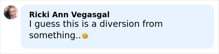 Screenshot of a message from Ricki Ann Vegasgal commenting on a diversion, related to Chappell Roan banned festival incident.