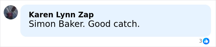 Comment by Karen Lynn Zap mentioning Simon Baker and calling him a good catch in a social media post.