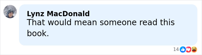 Comment by Lynz MacDonald stating someone read this book, reflecting on Britney Spears' arrest reason revealed in report.