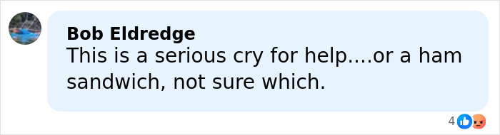 Comment by Bob Eldredge humorously questioning if a statement is a serious cry for help or about a ham sandwich. Comment by Bob Eldredge humorously questioning if a statement is a serious cry for help or about a ham sandwich.