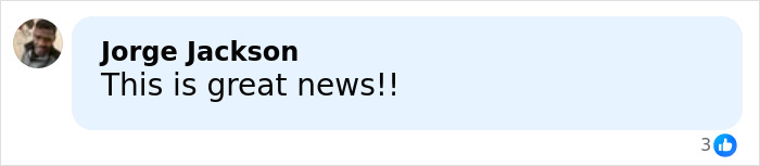 Comment from Jorge Jackson expressing positive reaction to a major airline's tough new rule gaining passenger support.