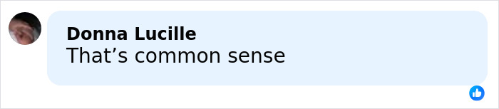 Screenshot of a social media comment reading "That&rsquo;s common sense" supporting a major airline's tough new rule.