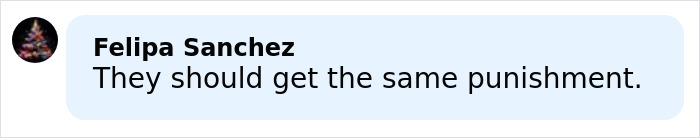 Comment by Felipa Sanchez saying they should get the same punishment regarding mom who allowed harm to her young son.
