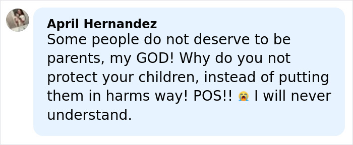 Comment from April Hernandez expressing anger toward a mom allegedly allowing harm to her young son, discussing child protection.