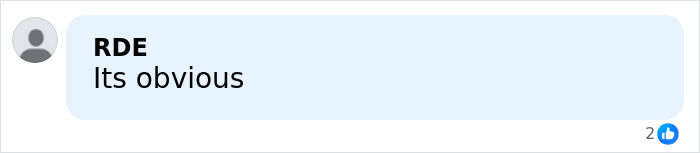 Comment saying Its obvious in a social media post about bizarre online theory involving Erika Kirk and Sydney Sweeney.