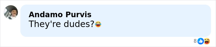 Comment by Andamo Purvis asking if two people are dudes, with laughing emoji and reaction icons, related to bizarre online theory about Erika Kirk and Sydney Sweeney.