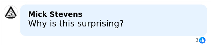 Comment bubble with text Why is this surprising by Mick Stevens, referencing Meta workers' insights on smart glasses usage.
