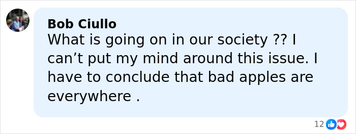 Comment expressing concern about society and bad apples everywhere under news about female police officer accused of crimes.