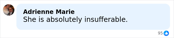 Screenshot of a Facebook comment by Adrienne Marie stating she is absolutely insufferable after backlash involving Chappell Roan. Screenshot of a Facebook comment by Adrienne Marie stating she is absolutely insufferable after backlash involving Chappell Roan.