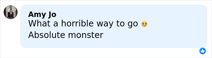 Comment reading what a user named Amy Jo says about an open misogynist taking his mother hostage and ending her life.