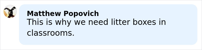 Comment from Matthew Popovich about needing litter boxes in classrooms, related to California teacher suspended incident.