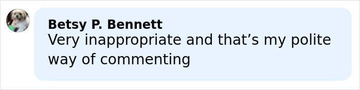Comment from Betsy P. Bennett expressing disapproval of Heidi Klum's newest lingerie ad with daughter Leni sparking backlash.