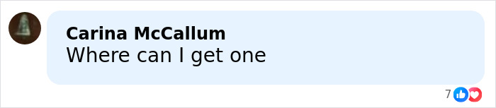 Screenshot of a social media comment asking where to get merch related to Elon Musk's trans daughter Vivian.