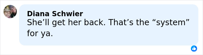 Comment from Diana Schwier about system issues in response to mom of 5-year-old arrested for crimes at festival.