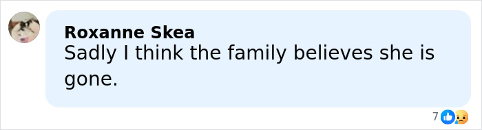 Comment by Roxanne Skea expressing belief that the woman found near Phoenix canal is gone in Nancy Guthrie case.