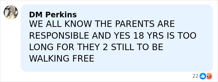 Comment by DM Perkins in bold, expressing strong opinion on parents' responsibility and the long time without resolution in Madeleine McCann search.
