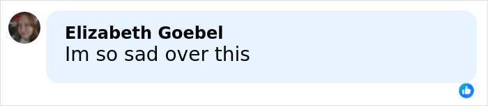 Screenshot of a Facebook comment from Elizabeth Goebel expressing sadness about Nicholas Brendon, Buffy the Vampire Slayer star.