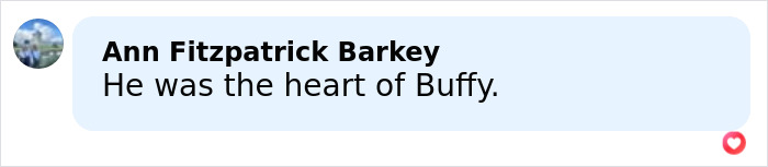 Comment saying he was the heart of Buffy, related to final video of Buffy the Vampire Slayer star Nicholas Brendon revealed.