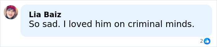 Comment from user Lia Baiz expressing sadness and love for Nicholas Brendon in a social media message about Buffy The Vampire Slayer.