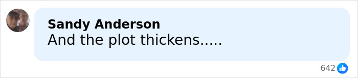 Comment by Sandy Anderson saying and the plot thickens with 642 likes on a social media post about politician linked to Ghislaine Maxwell and Epstein files.