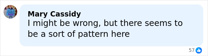 Comment by user Mary Cassidy discussing a possible pattern related to the politician who called Ghislaine Maxwell his soulmate.